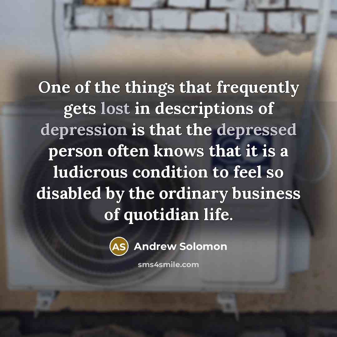 “One of the things that frequently gets lost in descriptions…” quote by Andrew Solomon