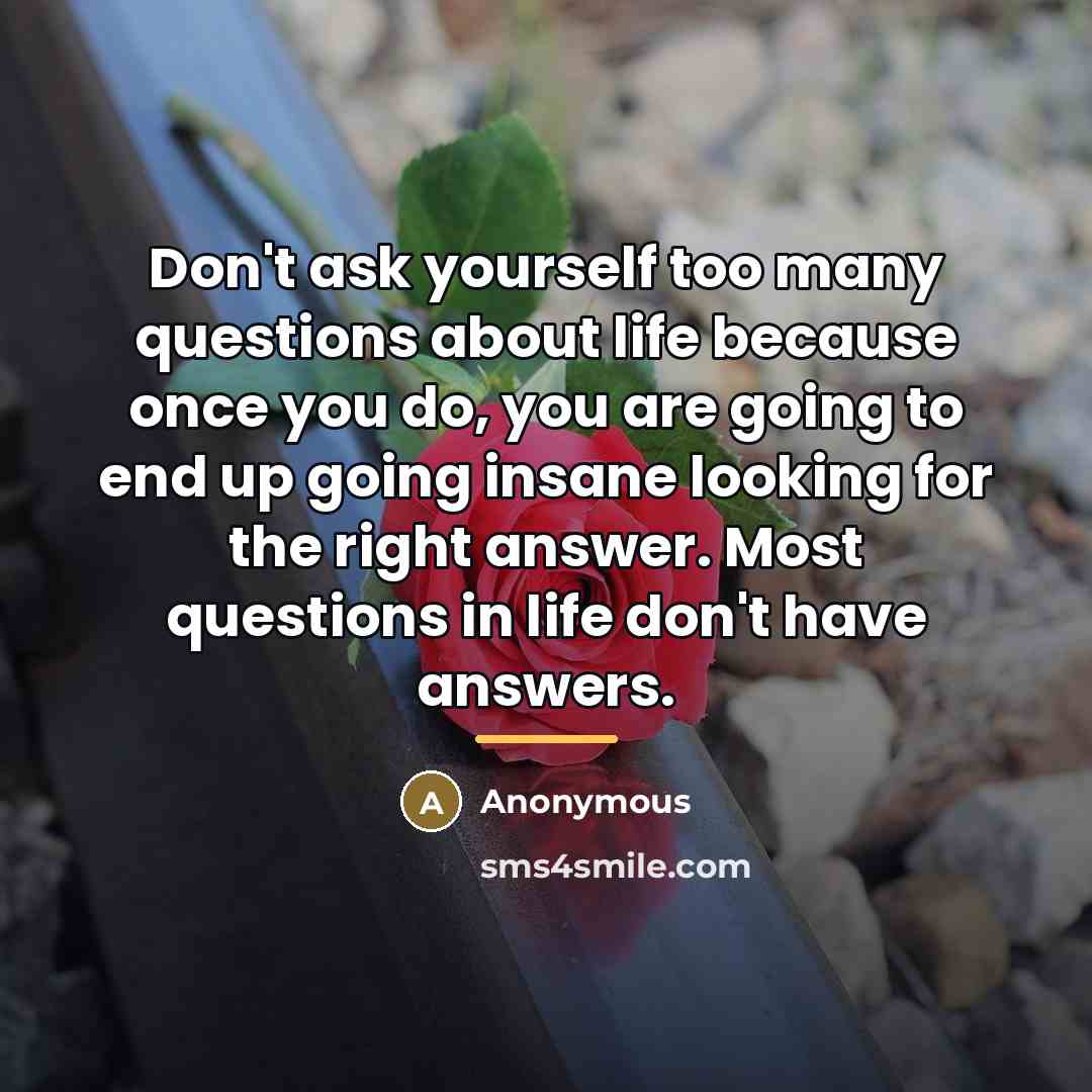 “Don't ask yourself too many questions about life because once…” quote by Anonymous