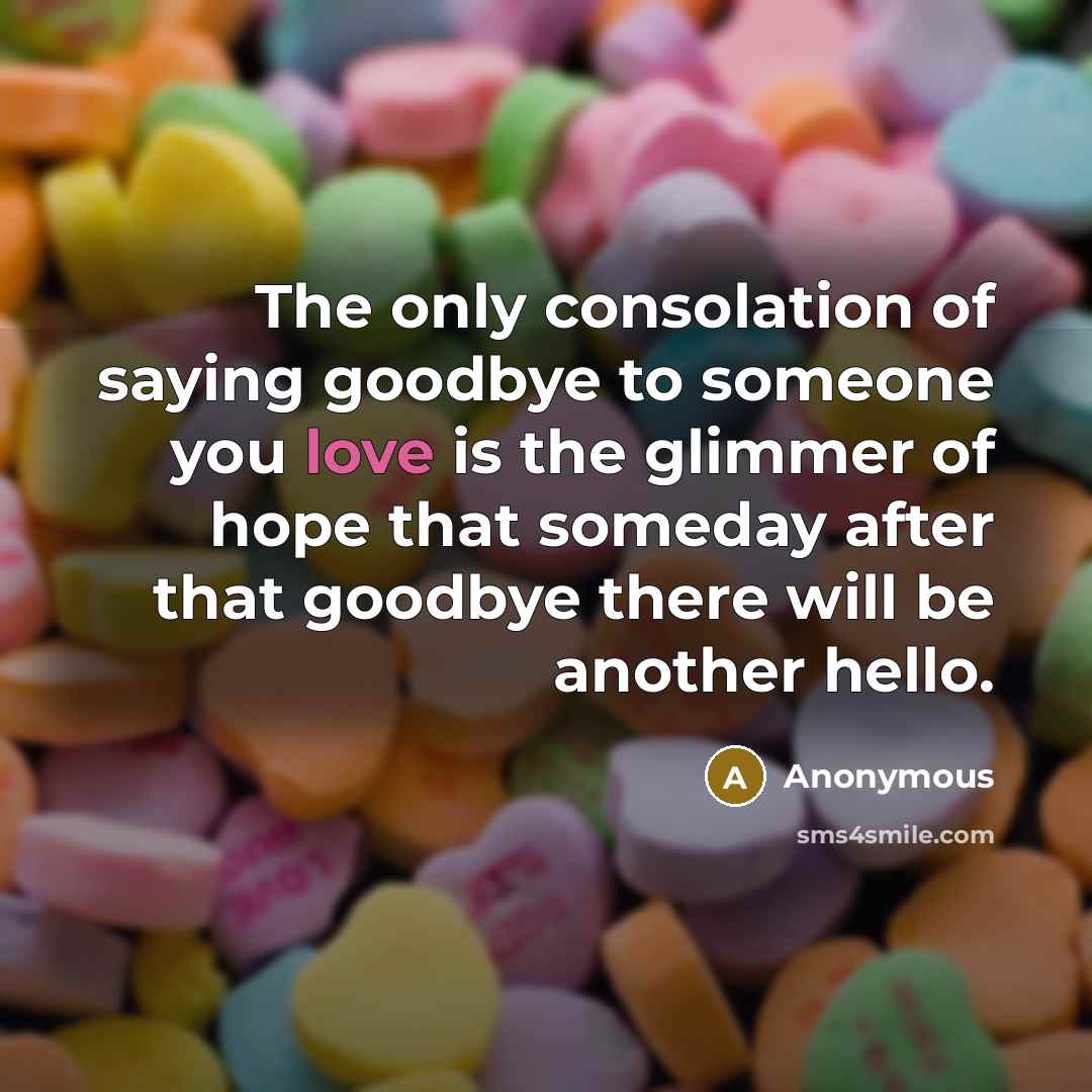 “The only consolation of saying goodbye to someone you love…” quote by Anonymous