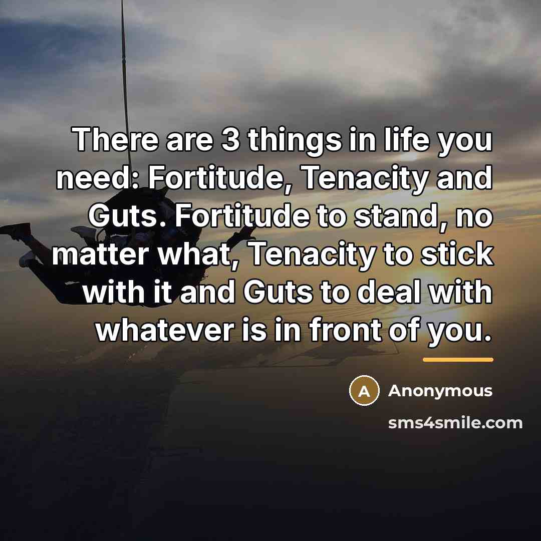 “There are 3 things in life you need: Fortitude, Tenacity…” quote by Anonymous