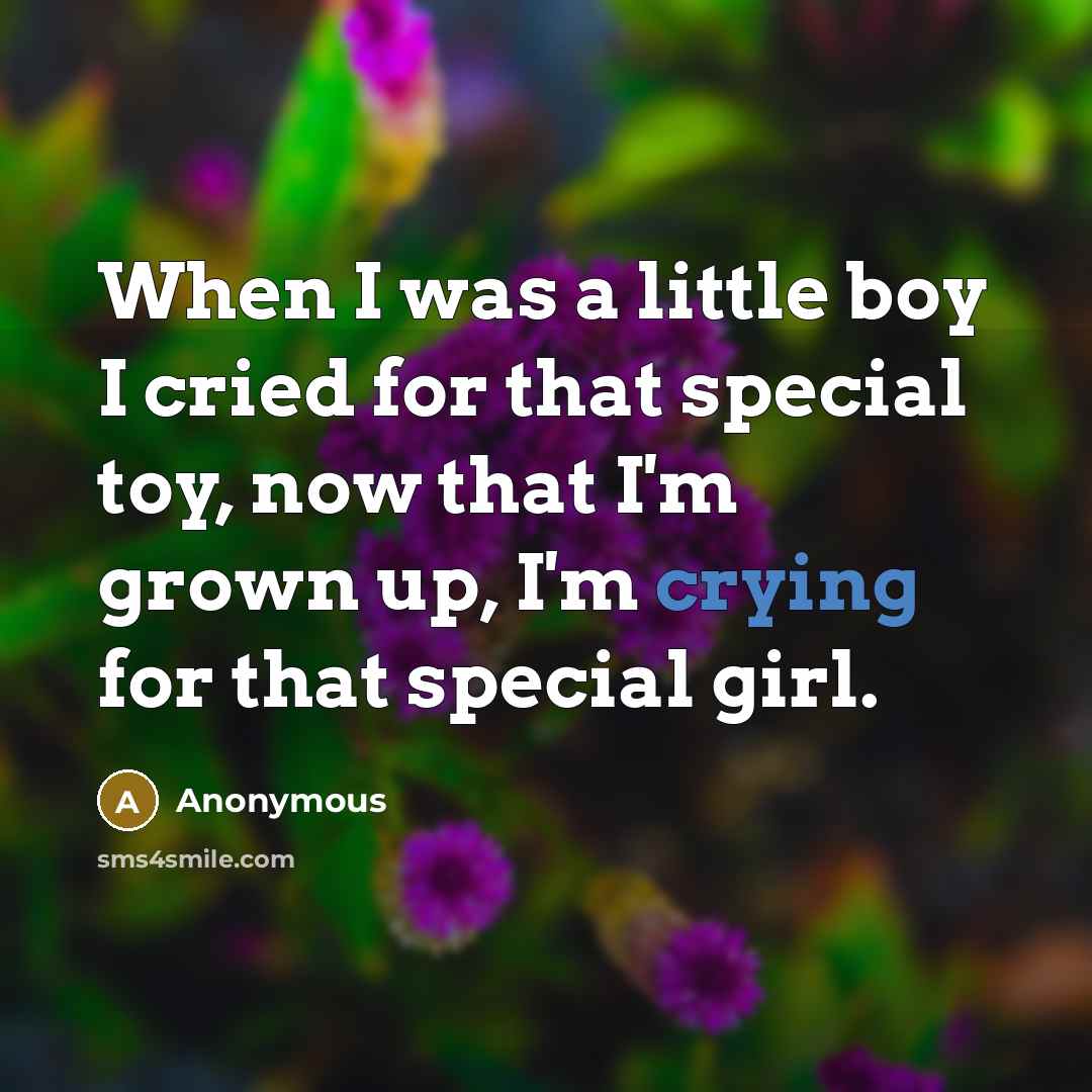 “When I was a little boy I cried for that special toy, now that I'm grown up, I'm crying for that special girl.” quote by Anonymous