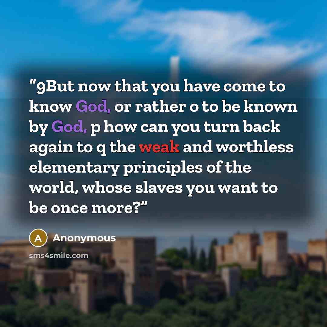 “9But now that you have come to know God, or rather o to be known by God, p how can you turn back again to q the weak and worthless elementary principles of the world, whose slaves you want to be once more?” quote by Anonymous