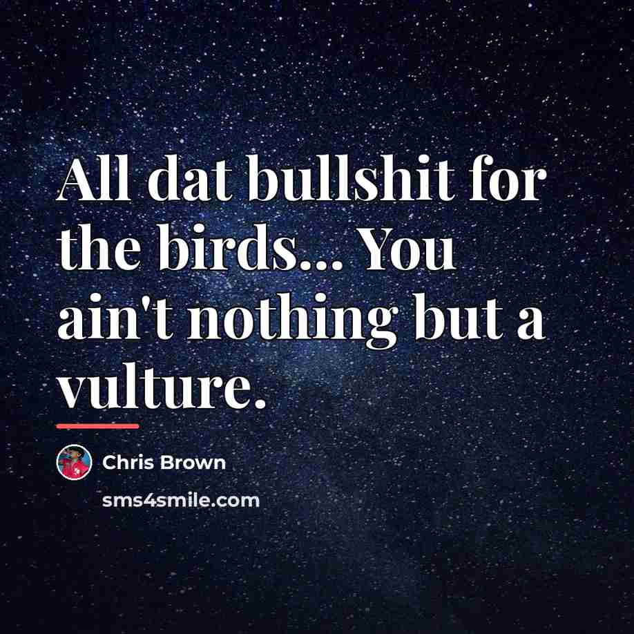 “All dat bullshit for the birds... You ain't nothing but…” quote by Chris Brown