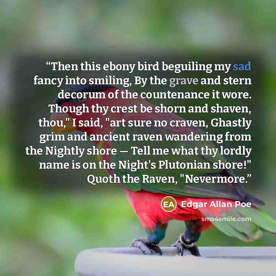 “Then this ebony bird beguiling my sad fancy into smiling, By the grave and stern decorum of the countenance it wore. Though thy crest be shorn and shaven, thou," I said, "art sure no craven, Ghastly grim and ancient raven wandering from the Nightly shore — Tell me what thy lordly name is on the…” quote by Edgar Allan Poe