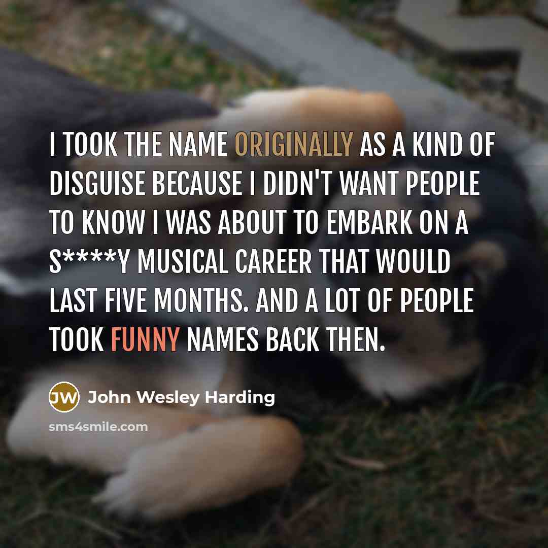 “I took the name originally as a kind of disguise…” quote by John Wesley Harding