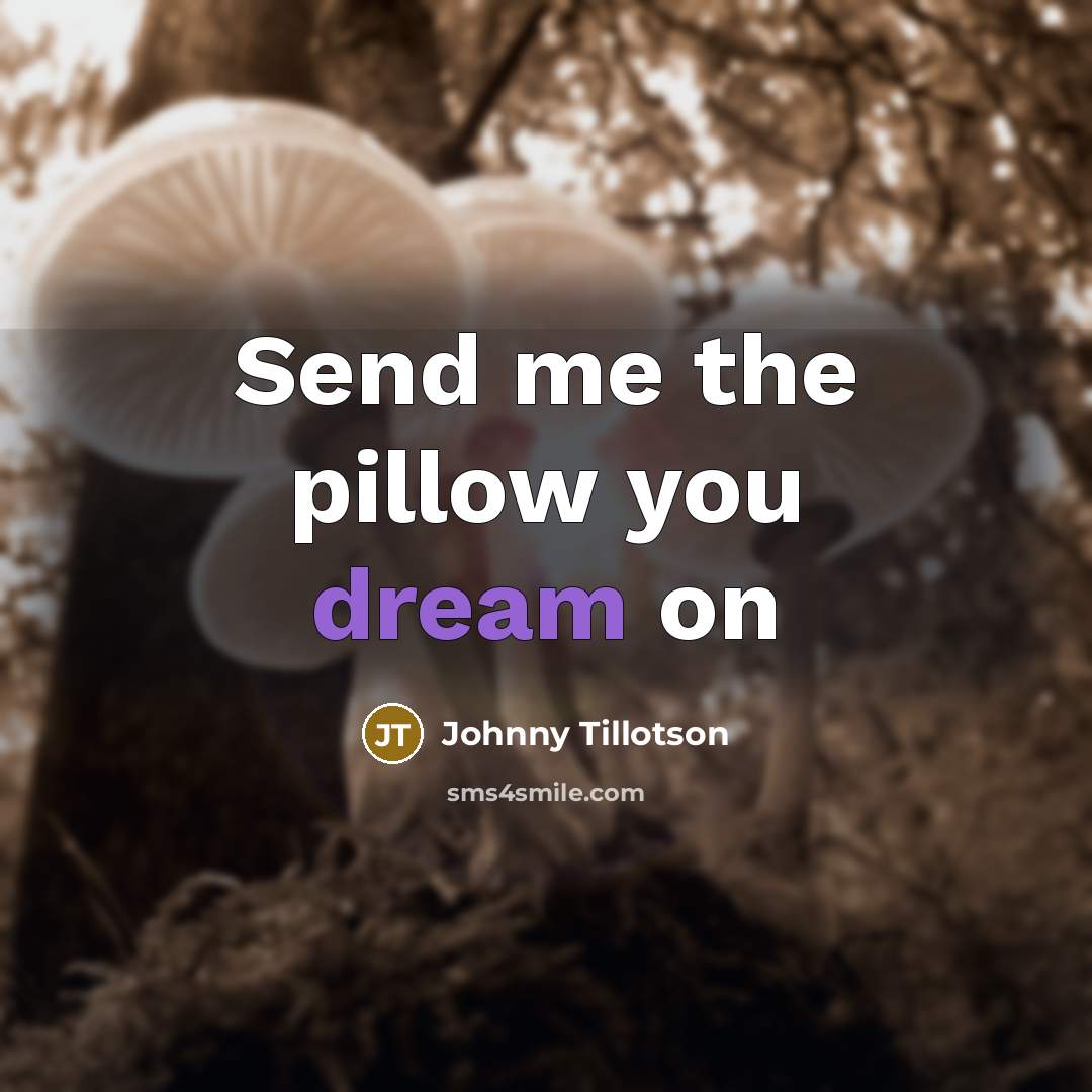 “Send me the pillow you dream on…” quote by Johnny Tillotson