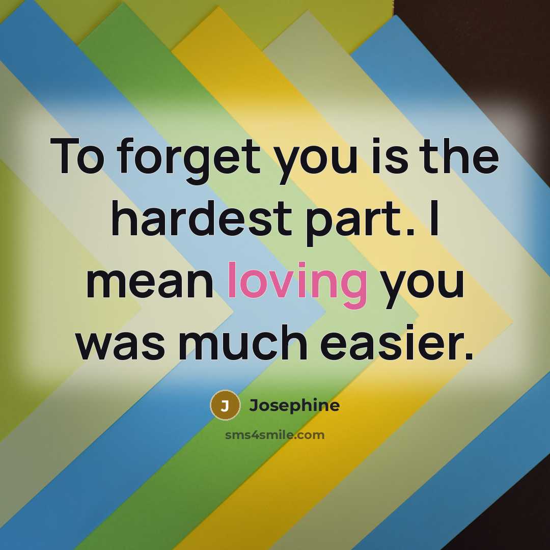 “To forget you is the hardest part. I mean loving you was much easier.” quote by Josephine