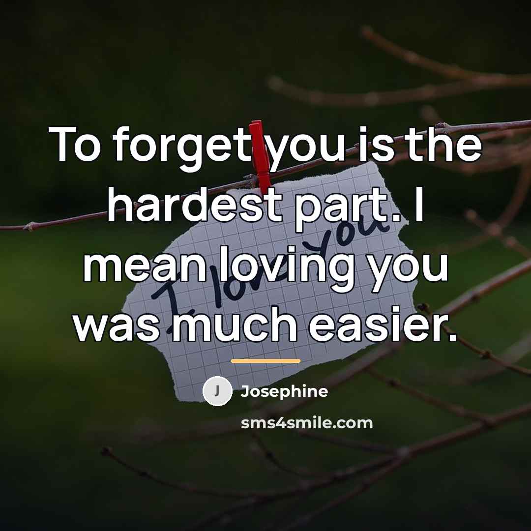 “To forget you is the hardest part. I mean loving…” quote by Josephine