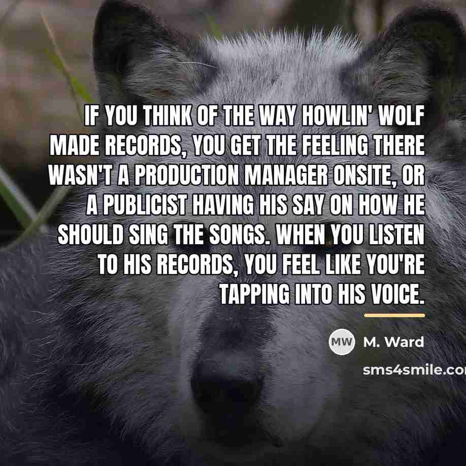 “If you think of the way Howlin' Wolf made records,…” quote by M. Ward