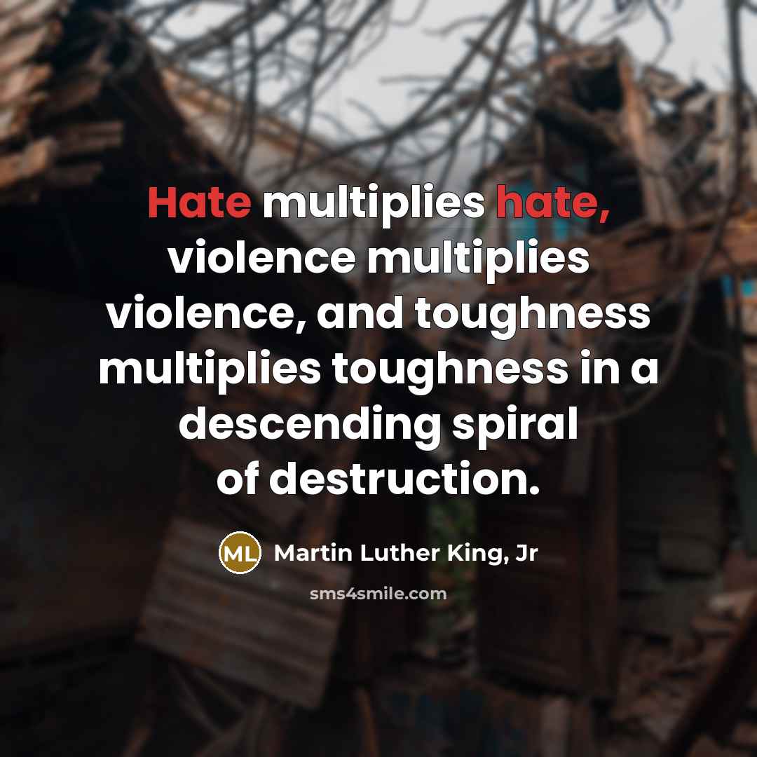 “Hate multiplies hate, violence multiplies violence, and toughness multiplies toughness…” quote by Martin Luther King, Jr