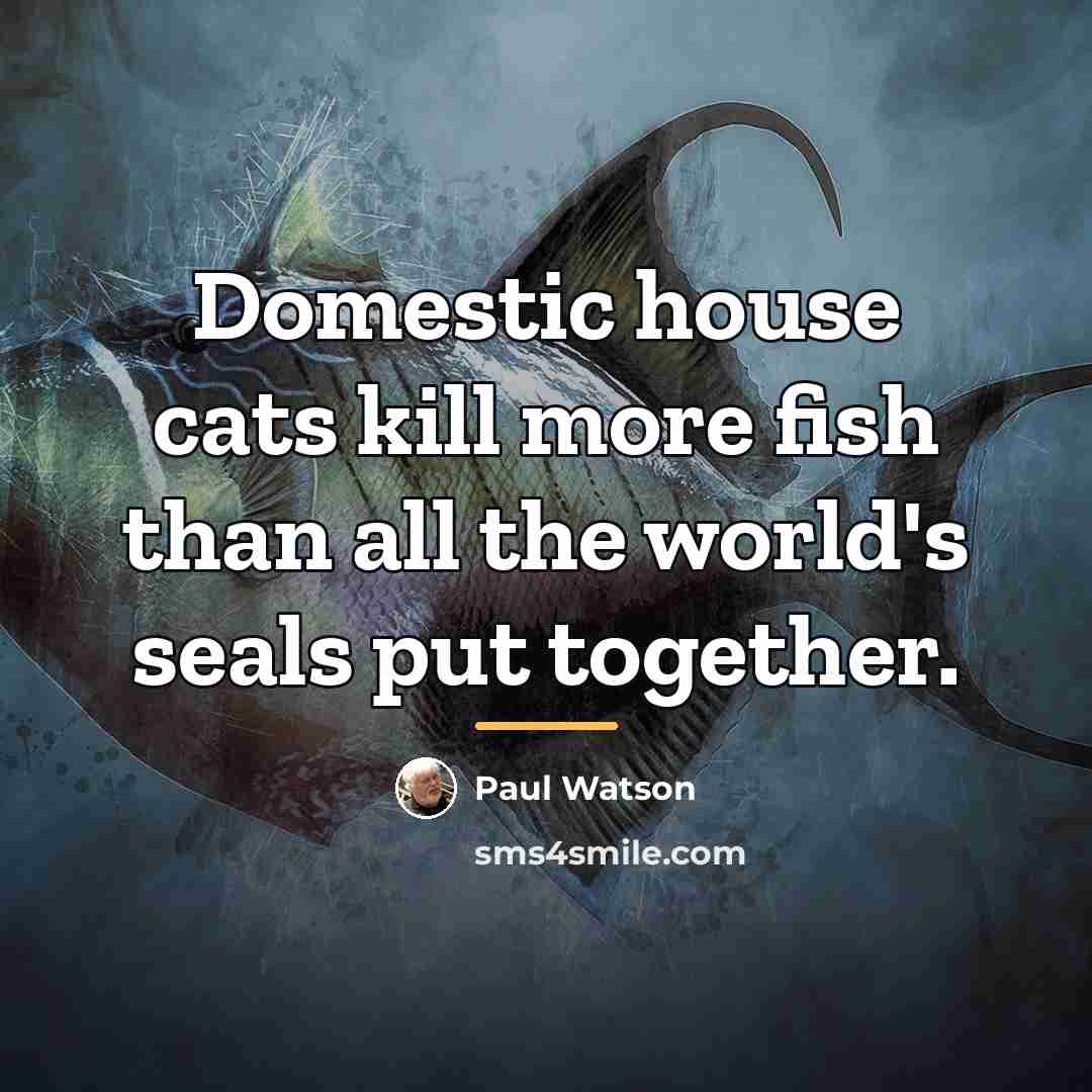 “Domestic house cats kill more fish than all the world's…” quote by Paul Watson