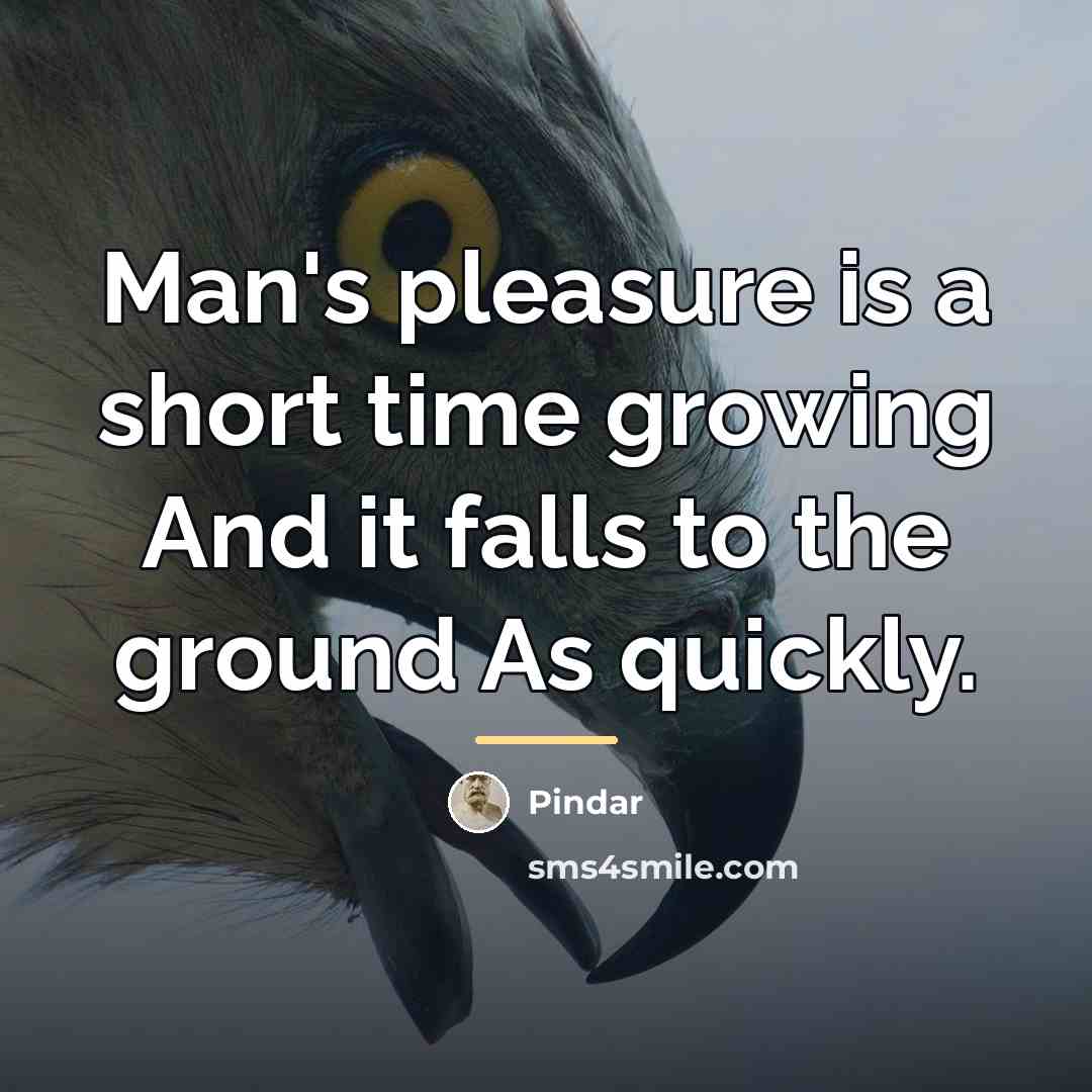 “Man's pleasure is a short time growing And it falls…” quote by Pindar