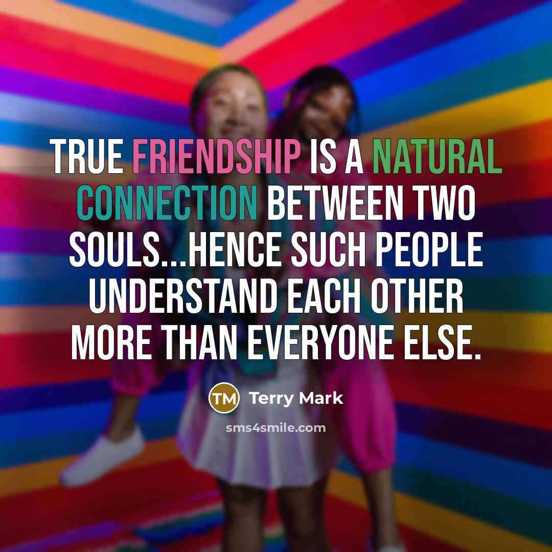 “True Friendship is a natural connection between two souls...hence such people understand each other more than everyone else.” quote by Terry Mark