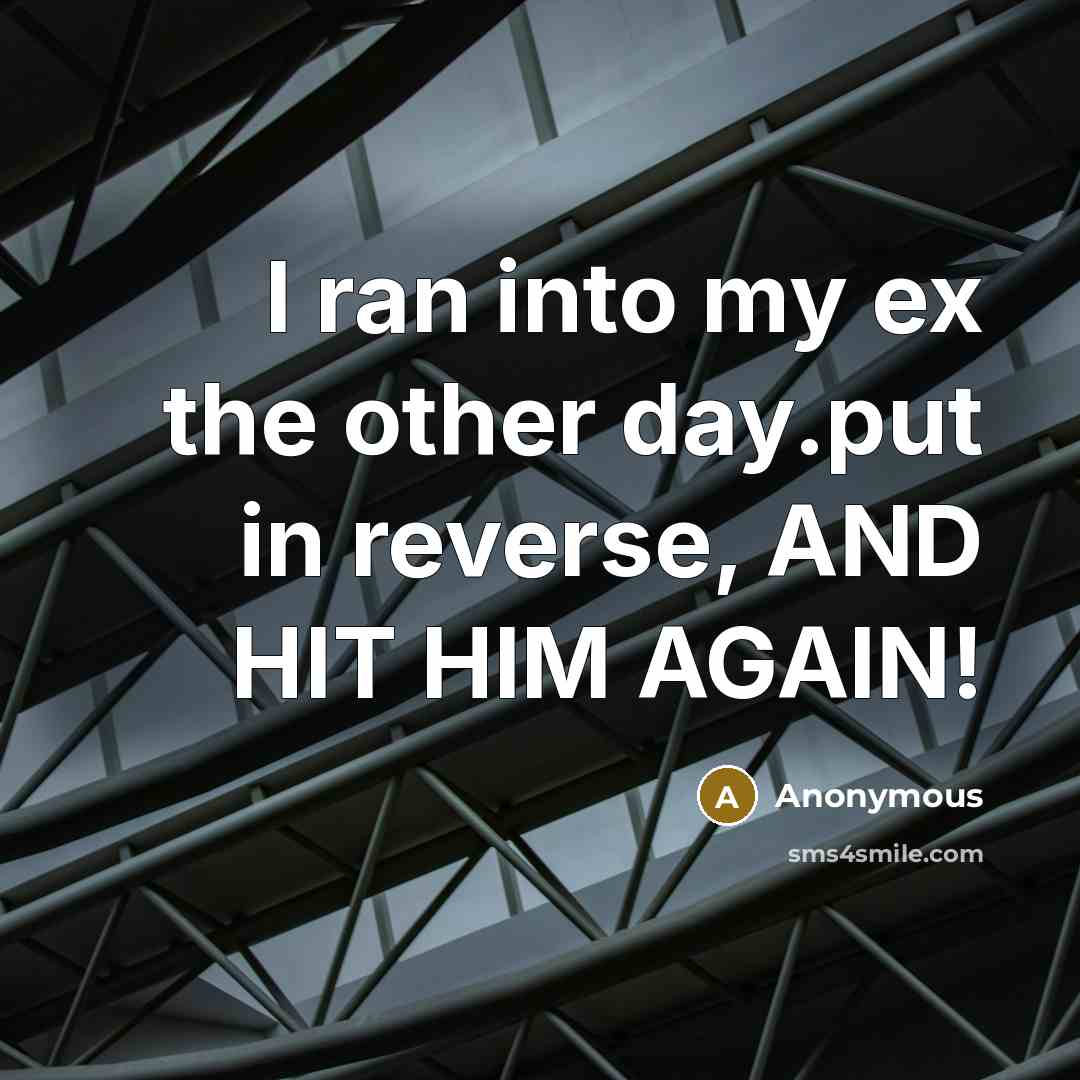 “I ran into my ex the other day.put in reverse,…” quote by Anonymous
