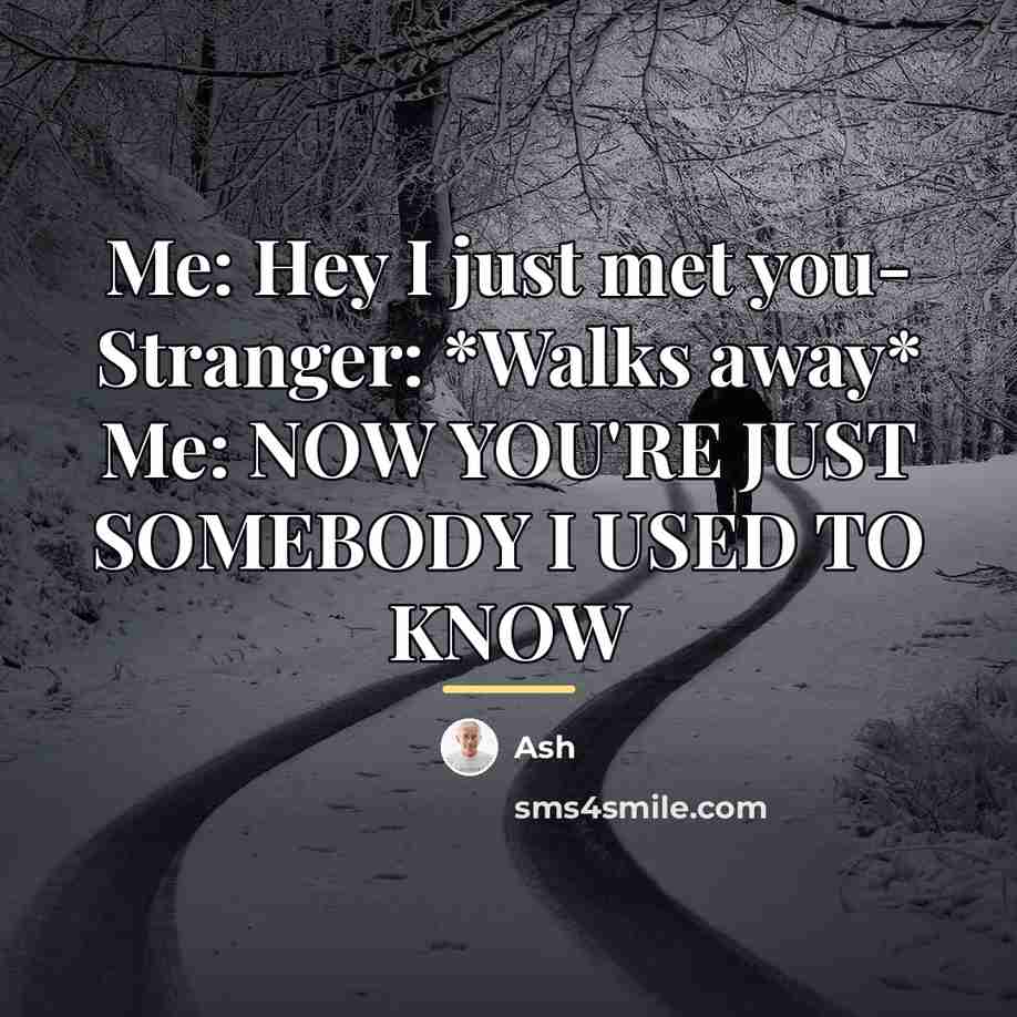 “Me: Hey I just met you- Stranger: *Walks away* Me:…” quote by Ash