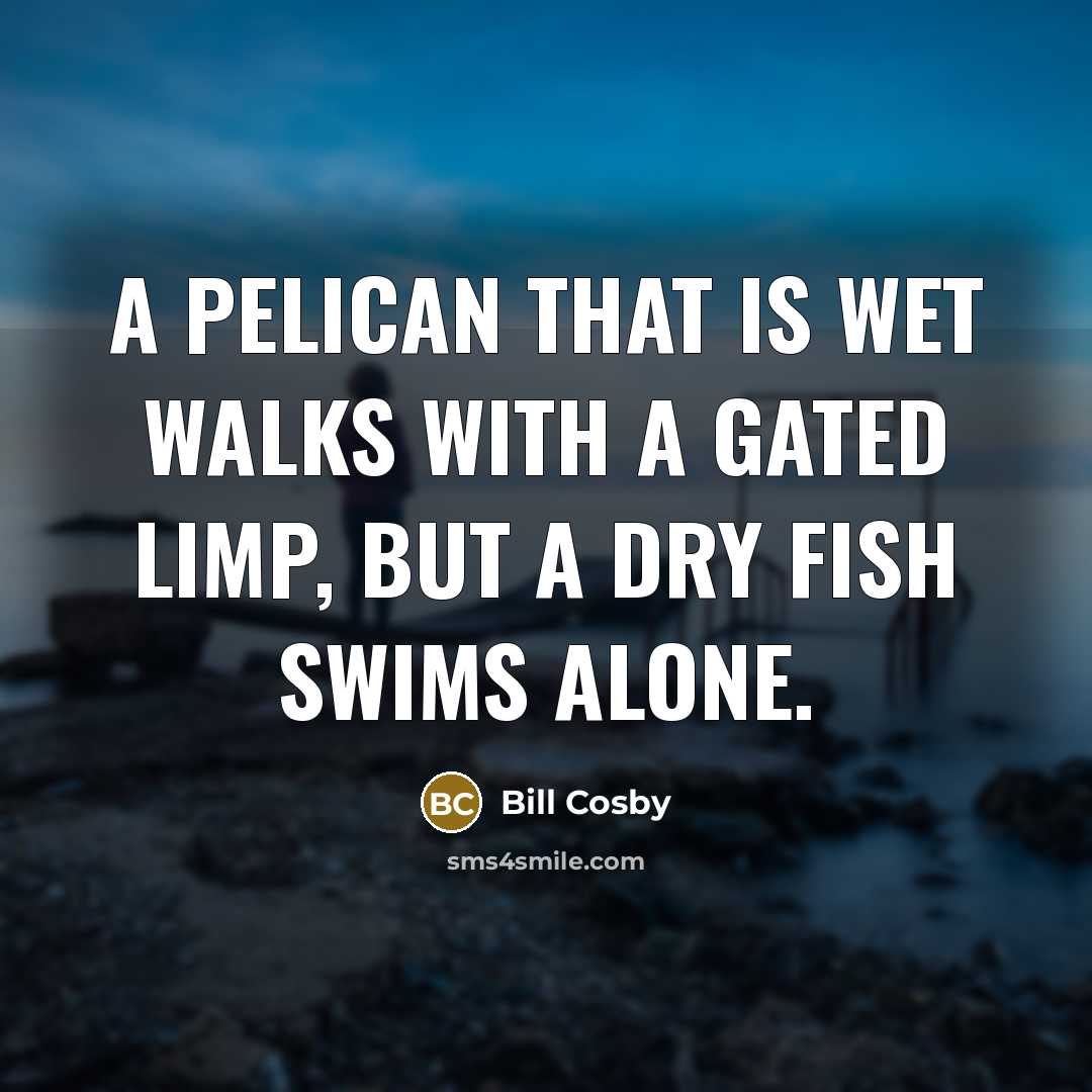 “A pelican that is wet walks with a gated limp,…” quote by Bill Cosby