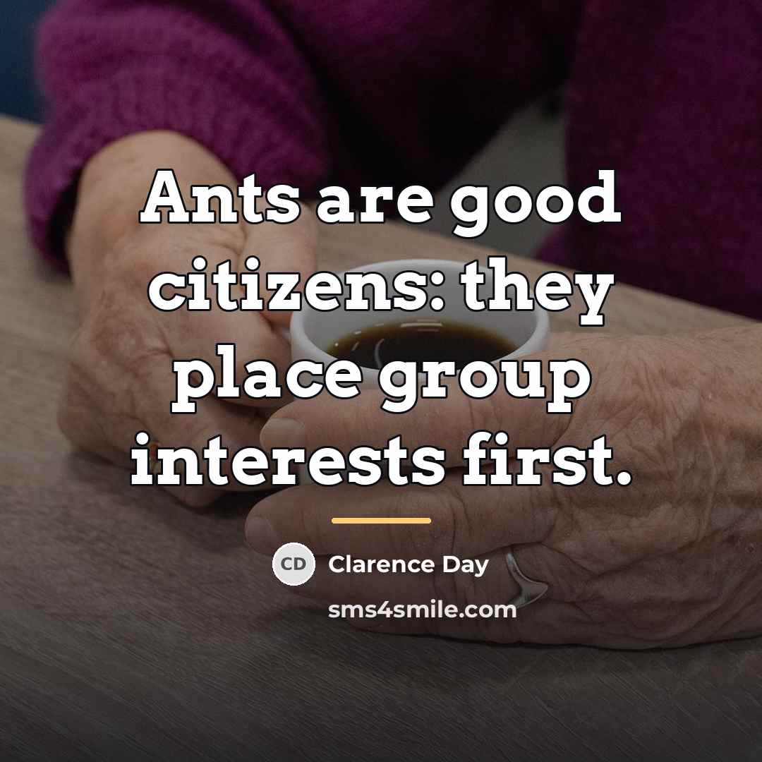 “Ants are good citizens: they place group interests first.…” quote by Clarence Day