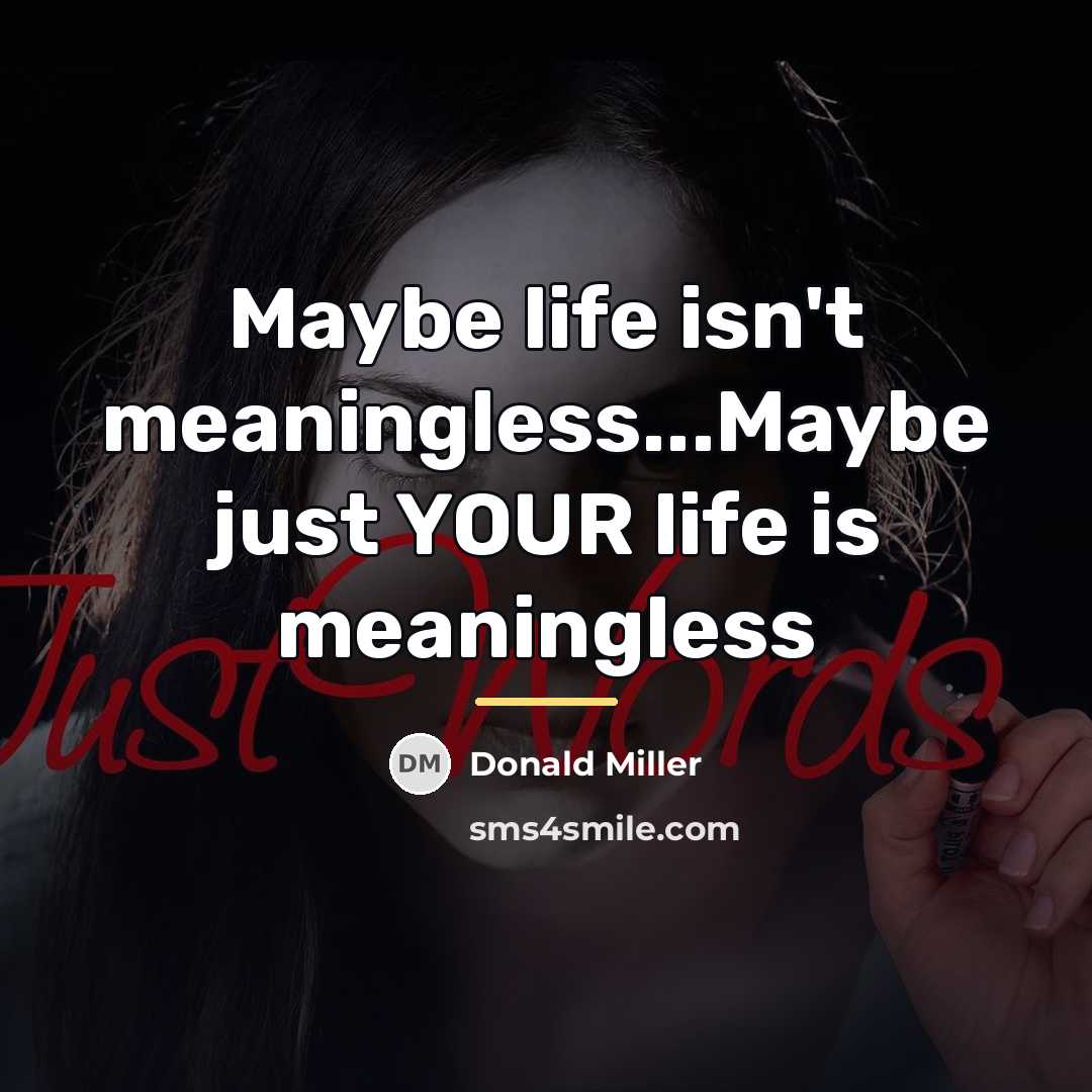 “Maybe life isn't meaningless...Maybe just YOUR life is meaningless…” quote by Donald Miller