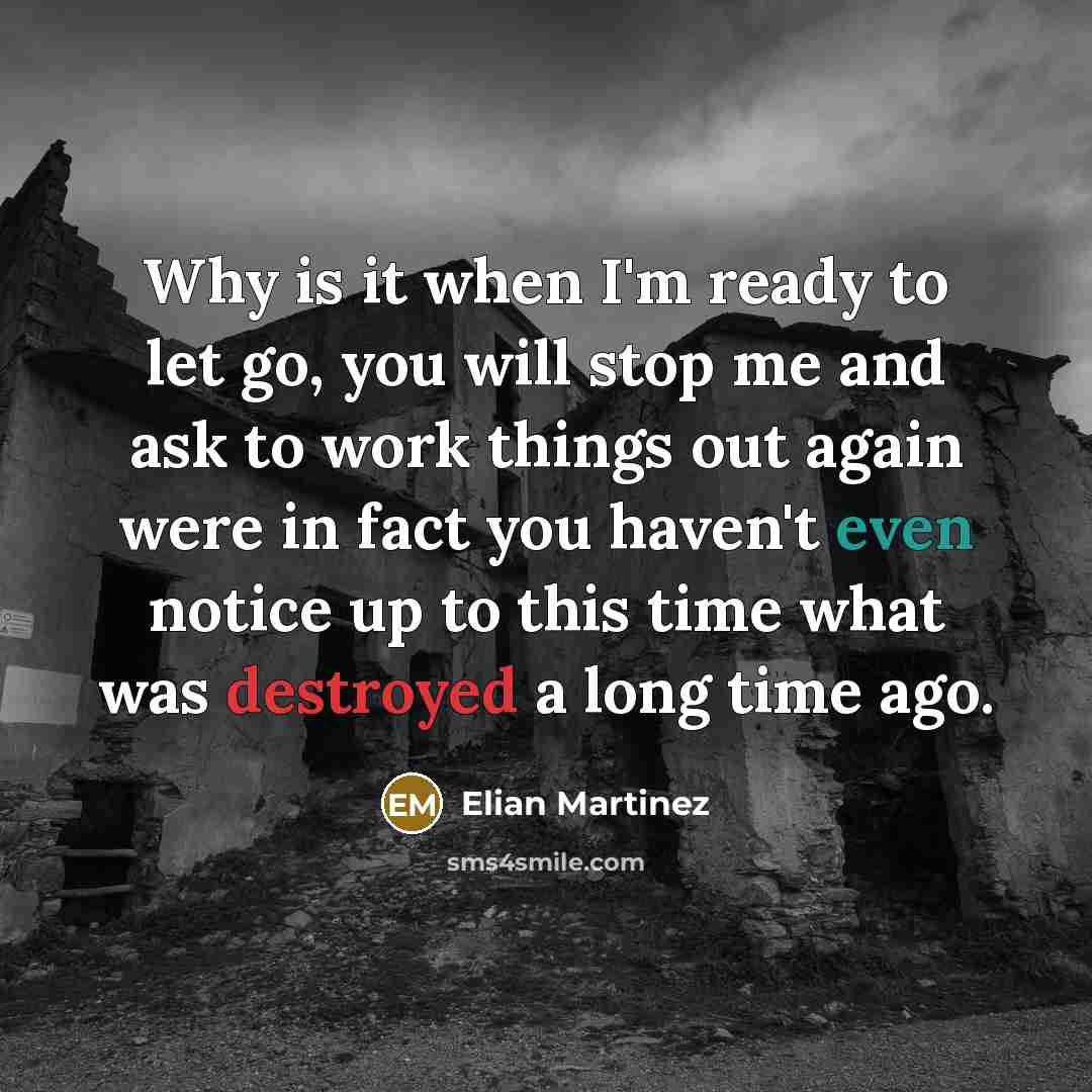 “Why is it when I'm ready to let go, you will stop me and ask to work things out again were in fact you haven't even notice up to this time what was destroyed a long time ago.” quote by Elian Martinez