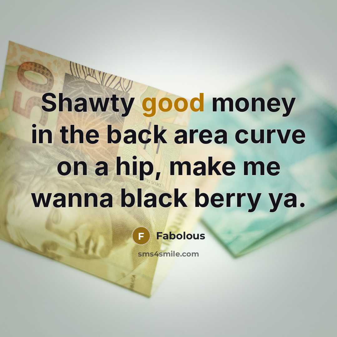 “Shawty good money in the back area curve on a hip, make me wanna black berry ya.” quote by Fabolous