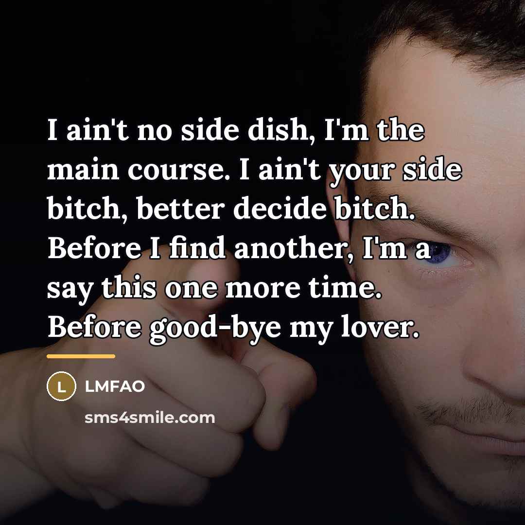 “I ain't no side dish, I'm the main course. I…” quote by Lmfao