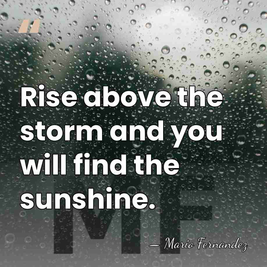 Rise above the storm and you will find the sunshine. - Mario Fernandez