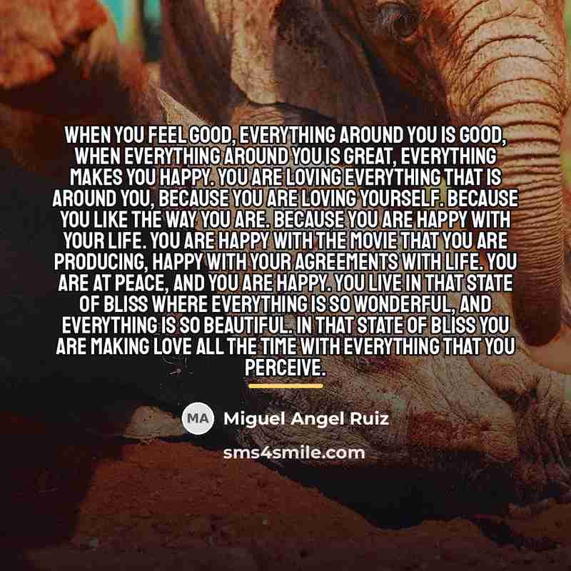 “When you feel good, everything around you is good, when…” quote by Miguel Angel Ruiz