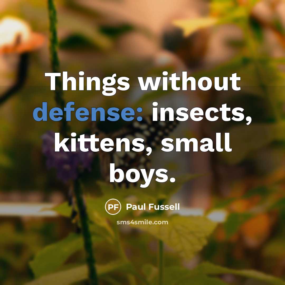 “Things without defense: insects, kittens, small boys.…” quote by Paul Fussell