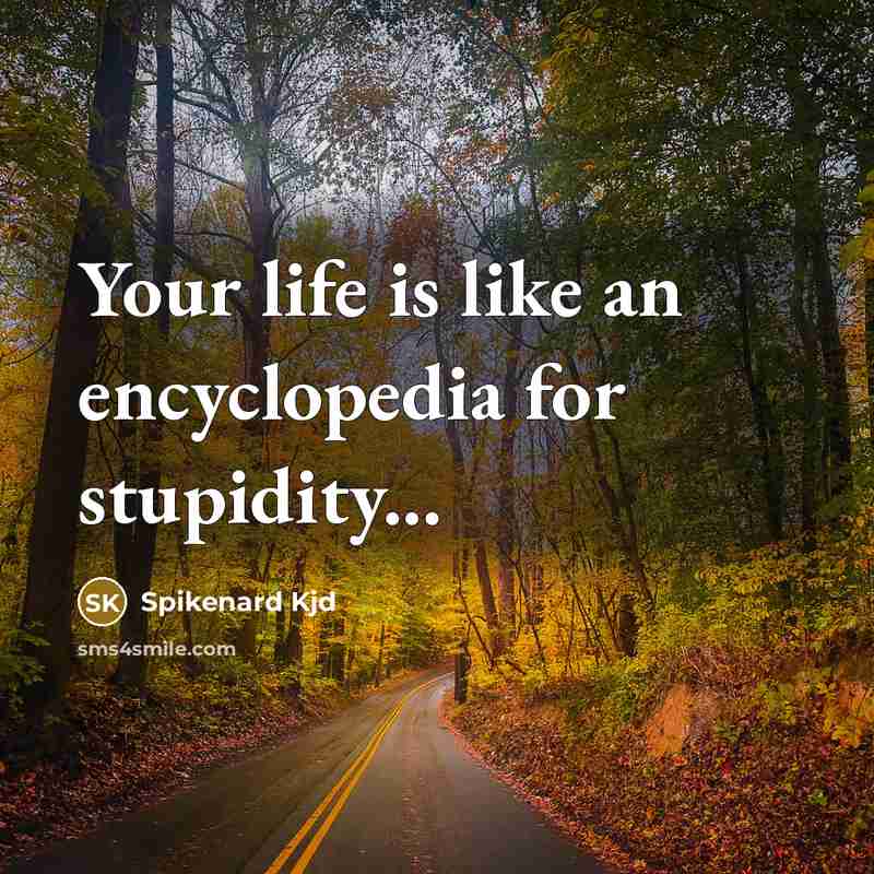 “Your life is like an encyclopedia for stupidity...” quote by Spikenard Kjd