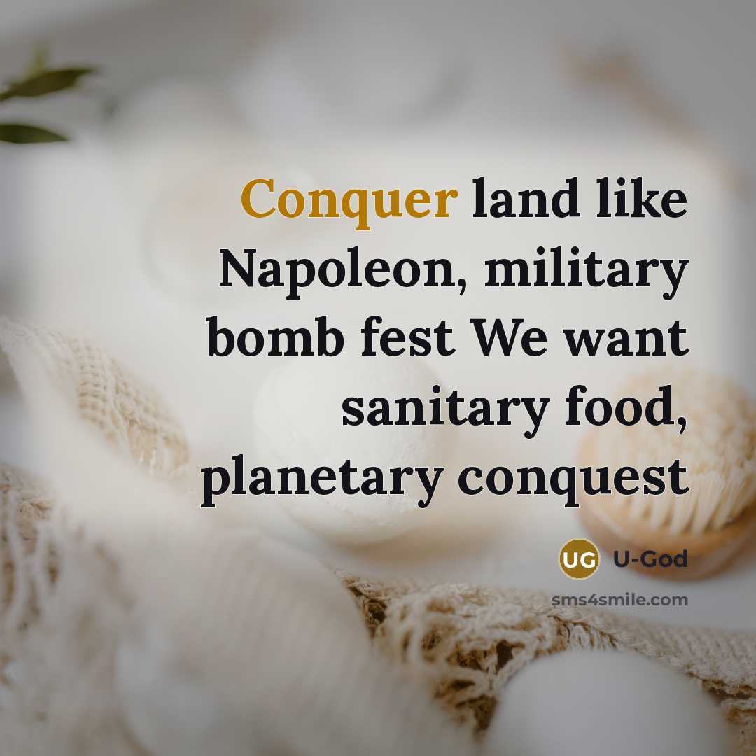 “Conquer land like Napoleon, military bomb fest We want sanitary…” quote by U-God