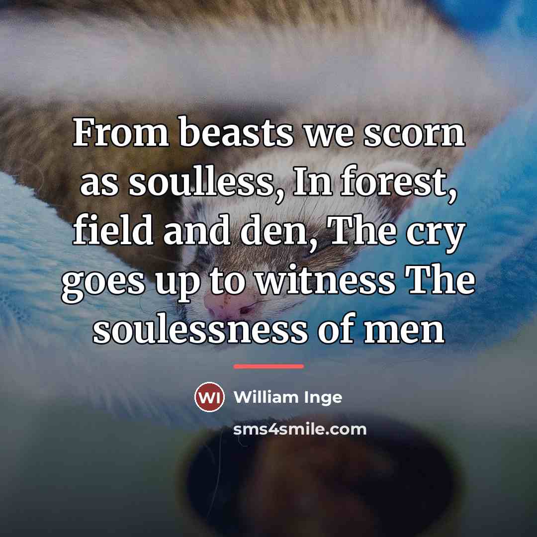 “From beasts we scorn as soulless, In forest, field and…” quote by William Inge