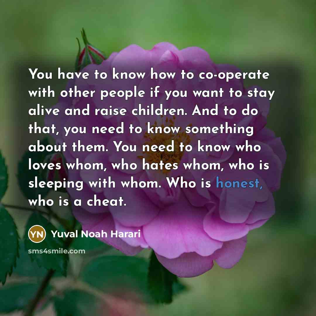 “You have to know how to co-operate with other people…” quote by Yuval Noah Harari