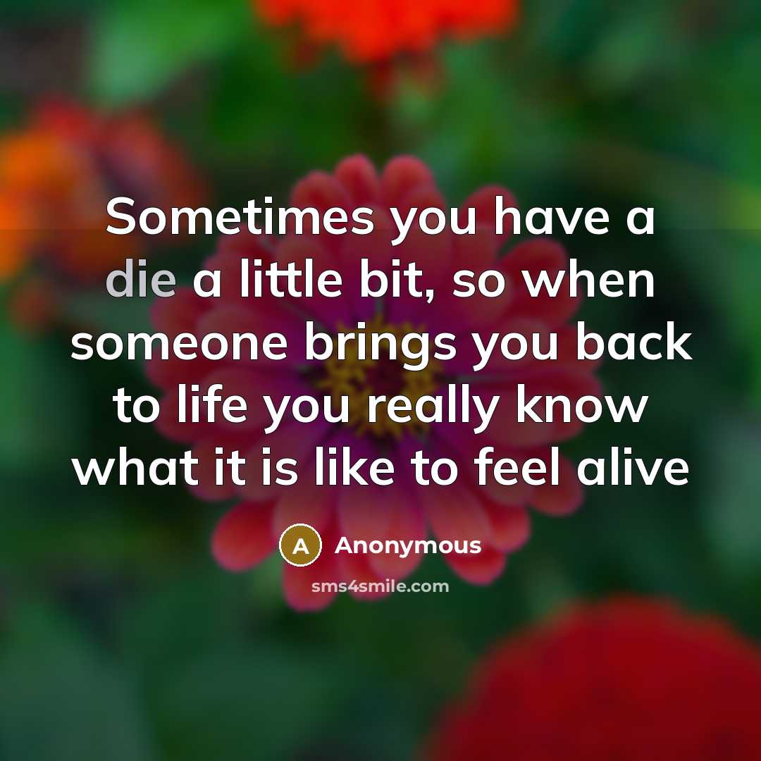 “Sometimes you have a die a little bit, so when someone brings you back to life you really know what it is like to feel alive” quote by Anonymous