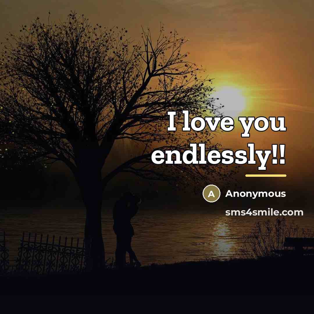 “I love you endlessly!!…” quote by Anonymous