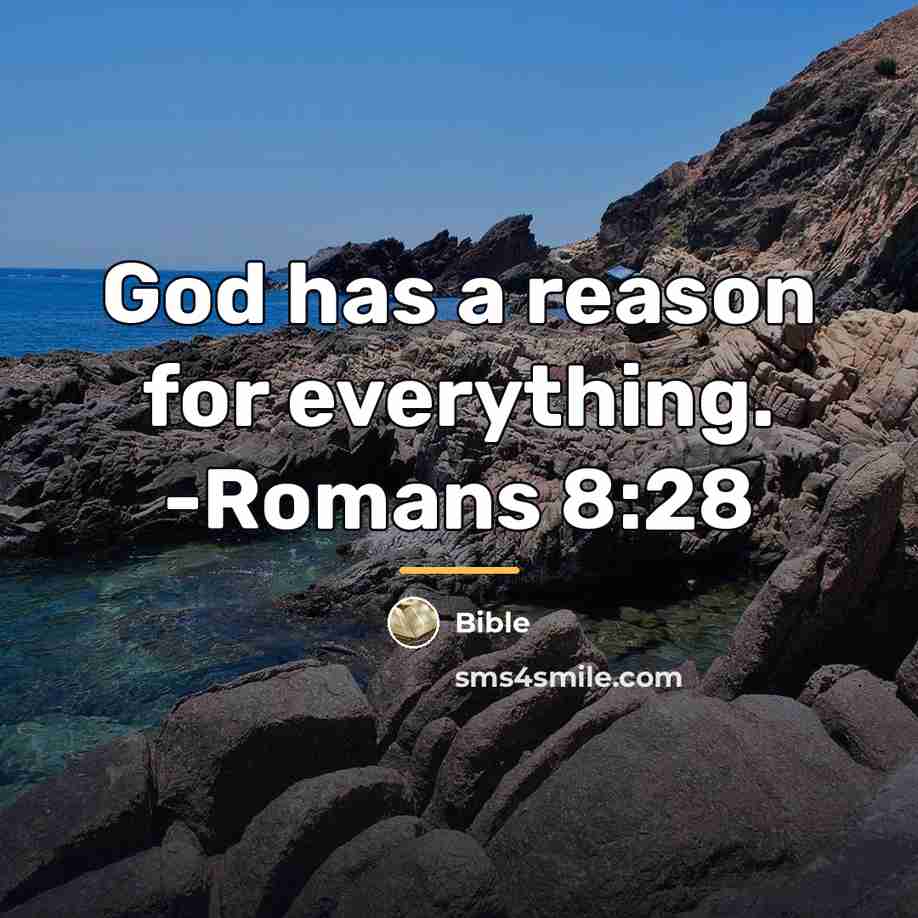 “God has a reason for everything. -Romans 8:28…” quote by Bible