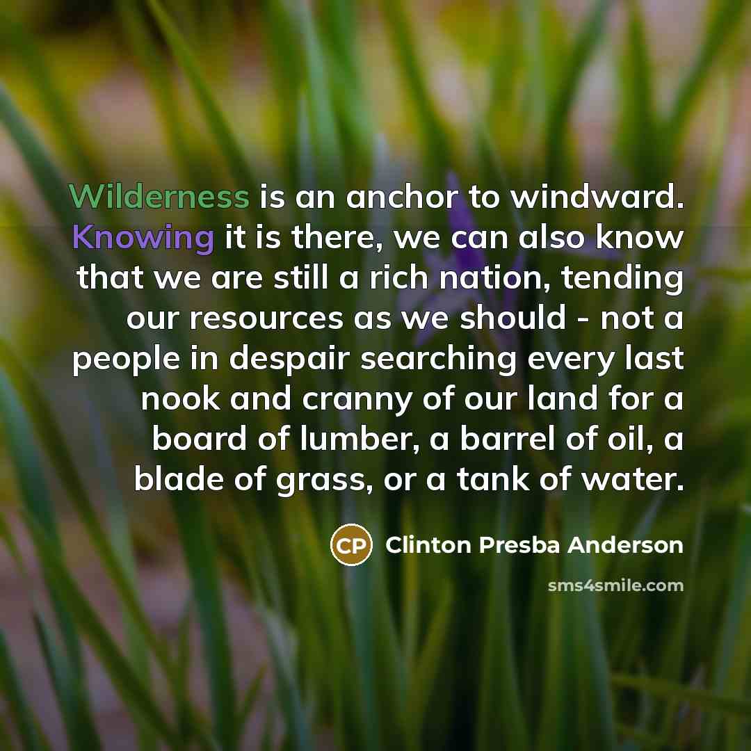 “Wilderness is an anchor to windward. Knowing it is there, we can also know that we are still a rich nation, tending our resources as we should - not a people in despair searching every last nook and cranny of our land for a board of lumber, a barrel of oil, a blade of grass, or a tank of water.” quote by Clinton Presba Anderson