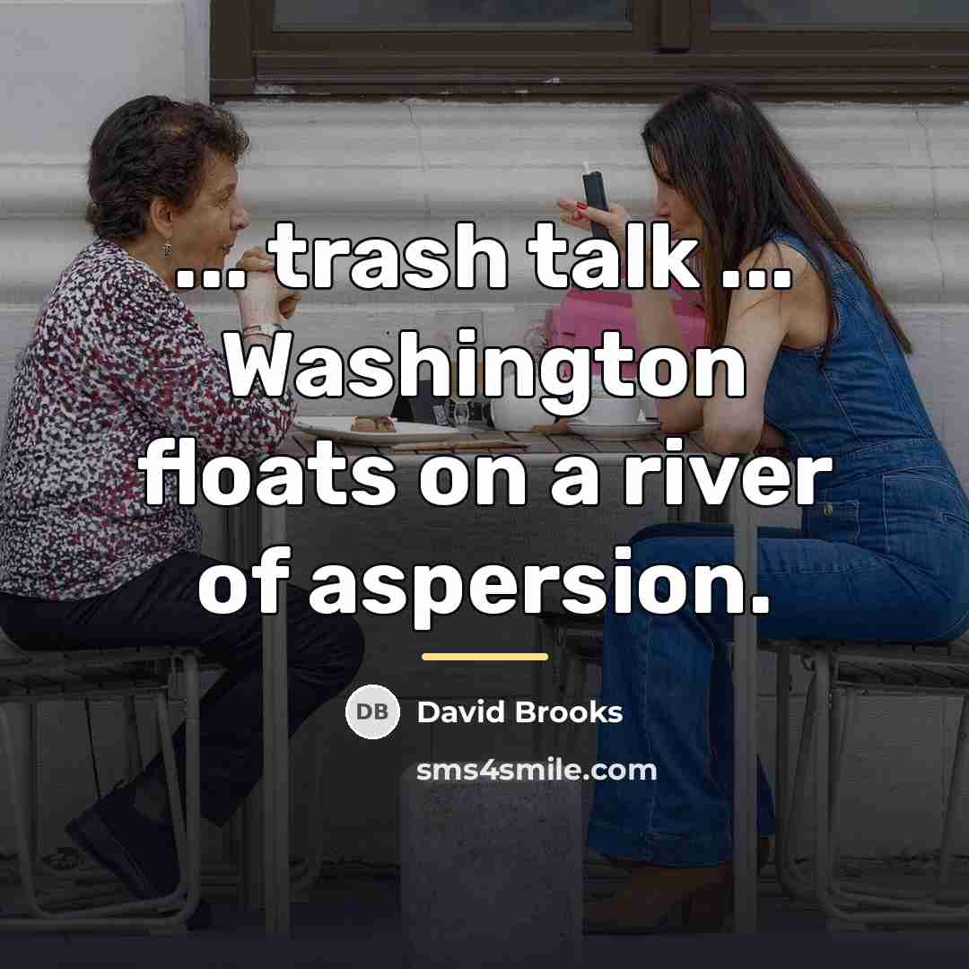 “... trash talk ... Washington floats on a river of…” quote by David Brooks