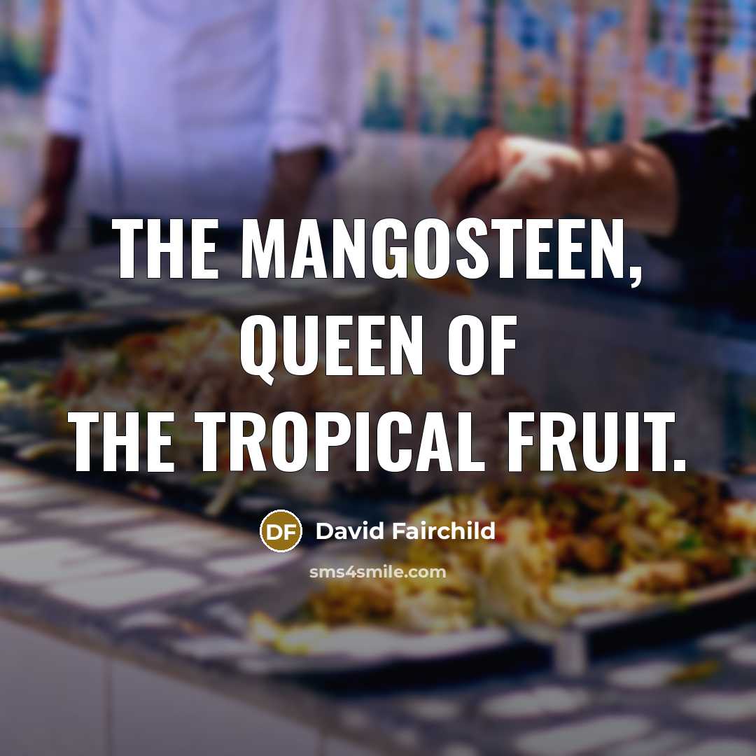 “The mangosteen, queen of the tropical fruit.” quote by David Fairchild