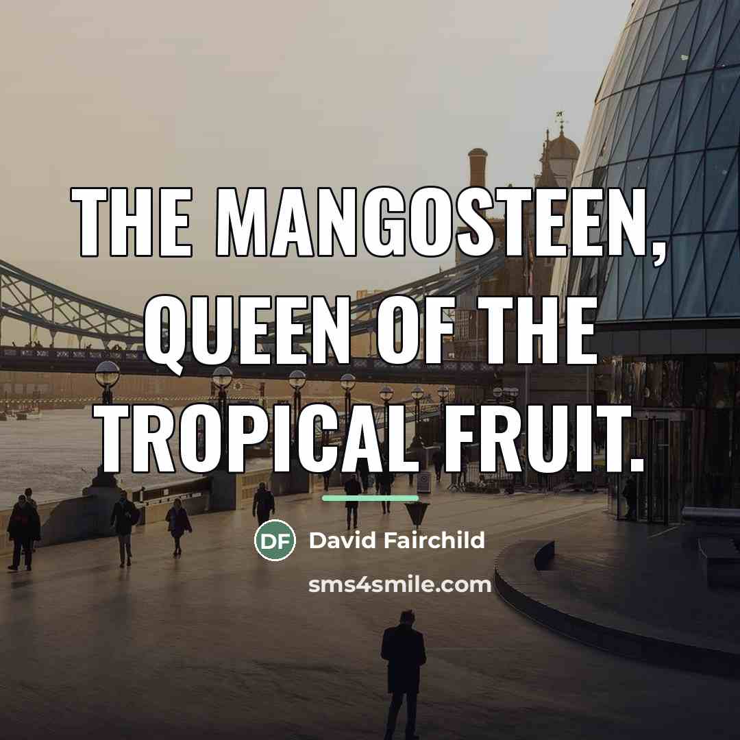 “The mangosteen, queen of the tropical fruit.…” quote by David Fairchild