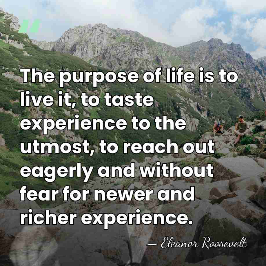 The purpose of life is to live it, to taste experience to&hellip; - Eleanor Roosevelt