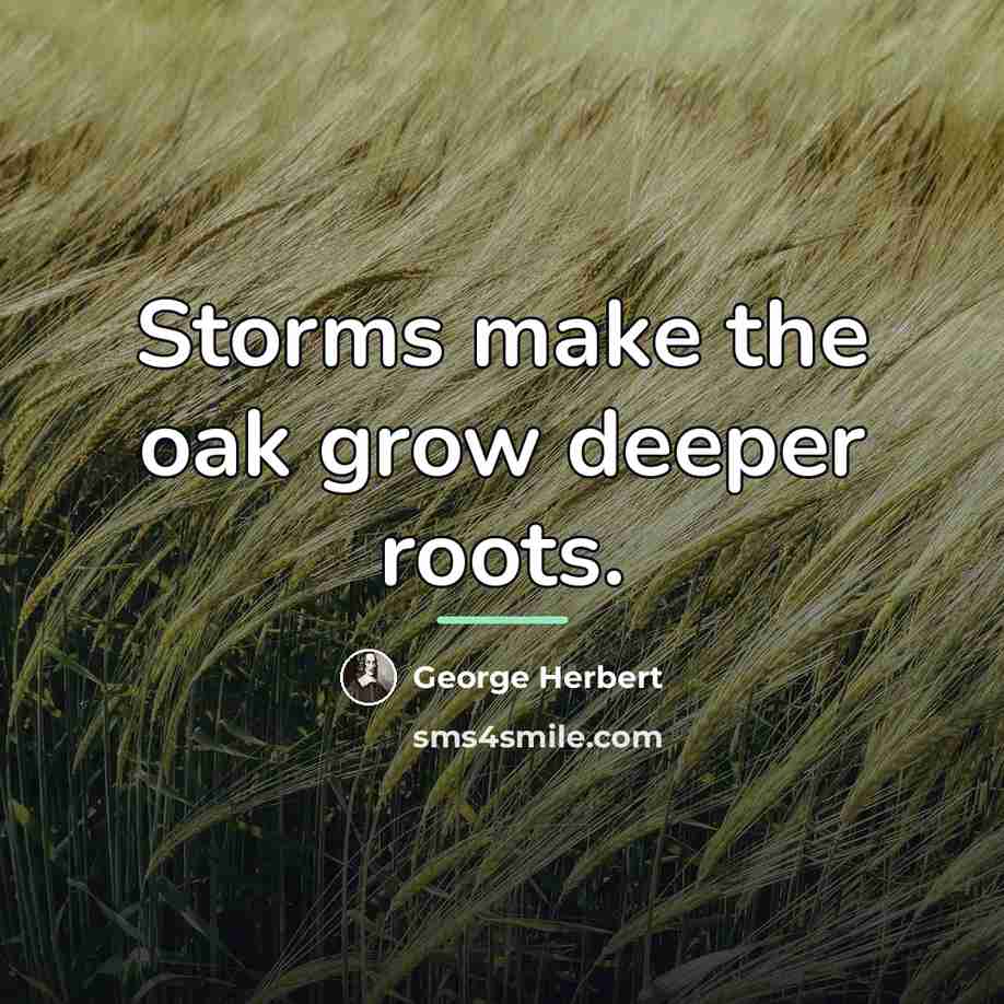 “Storms make the oak grow deeper roots.…” quote by George Herbert