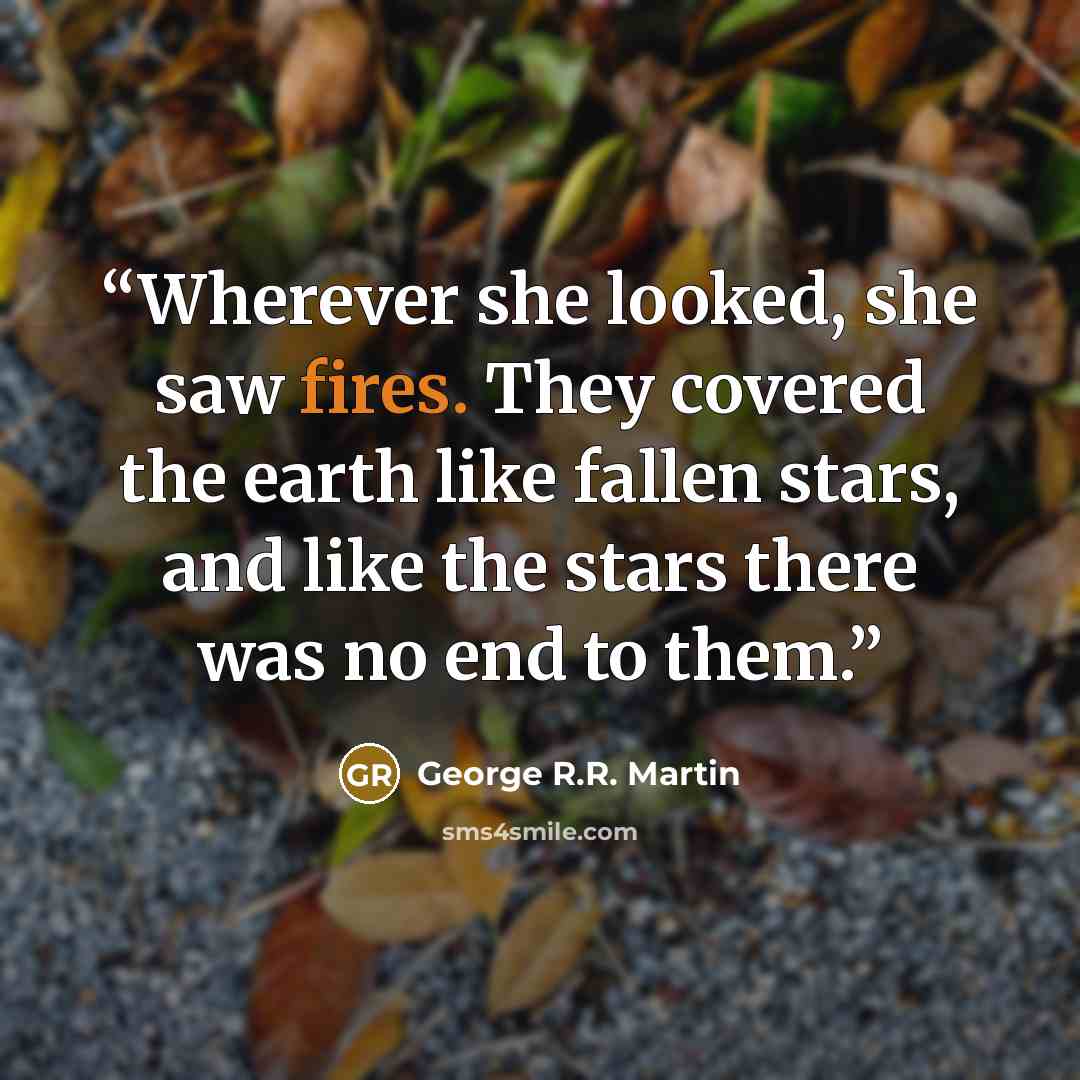 “Wherever she looked, she saw fires. They covered the earth like fallen stars, and like the stars there was no end to them.” quote by George R.R. Martin