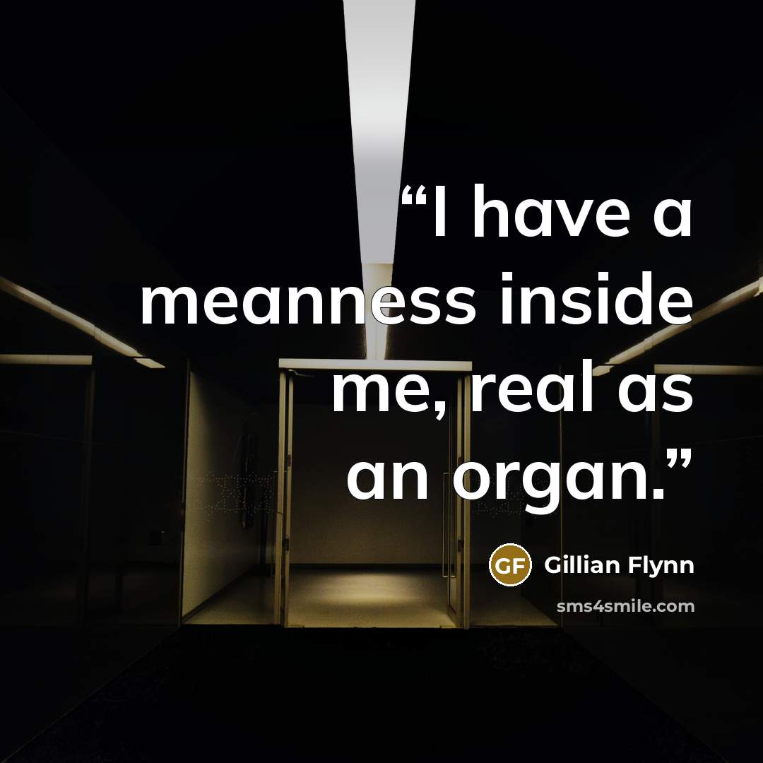 “I have a meanness inside me, real as an organ.” quote by Gillian Flynn