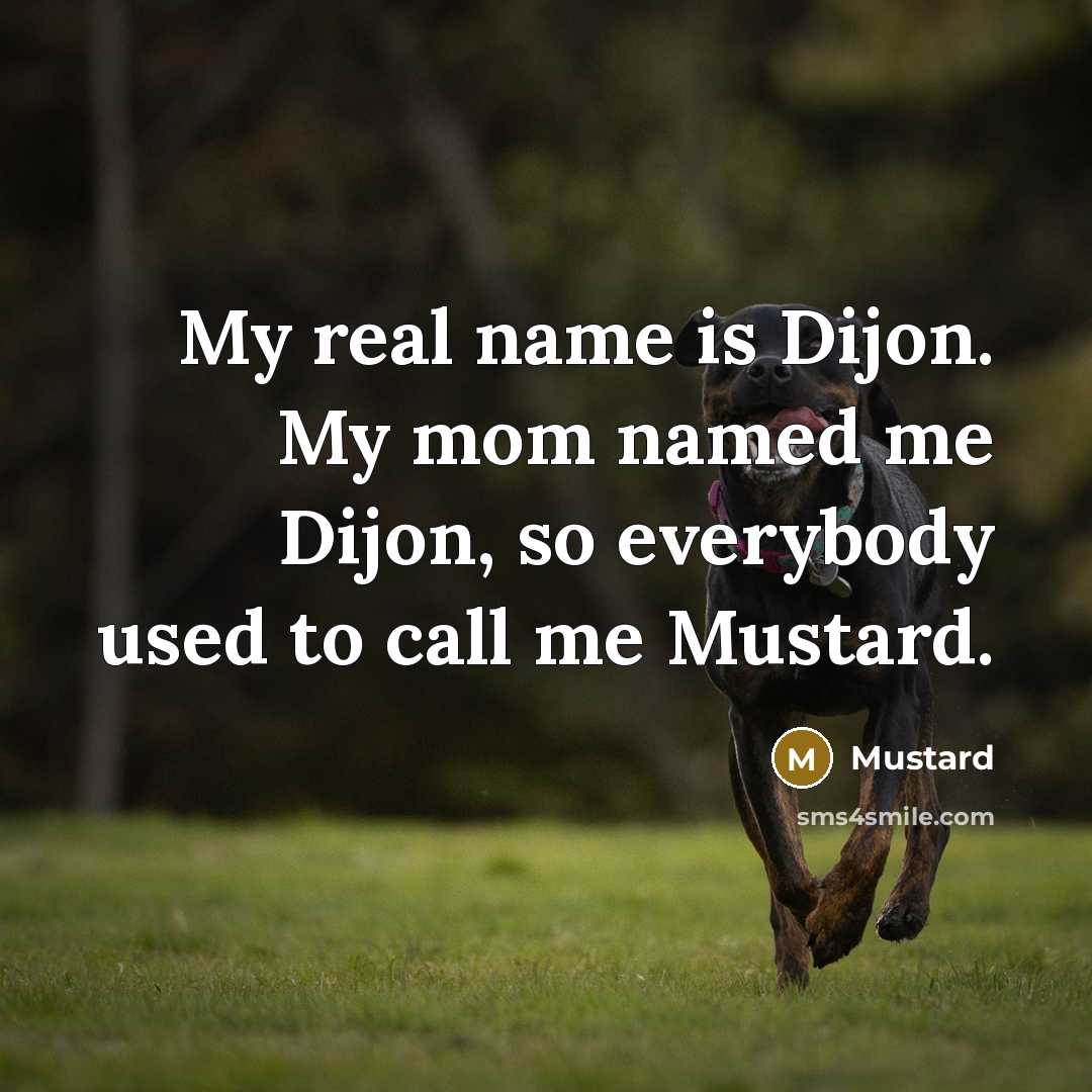 “My real name is Dijon. My mom named me Dijon,…” quote by Mustard