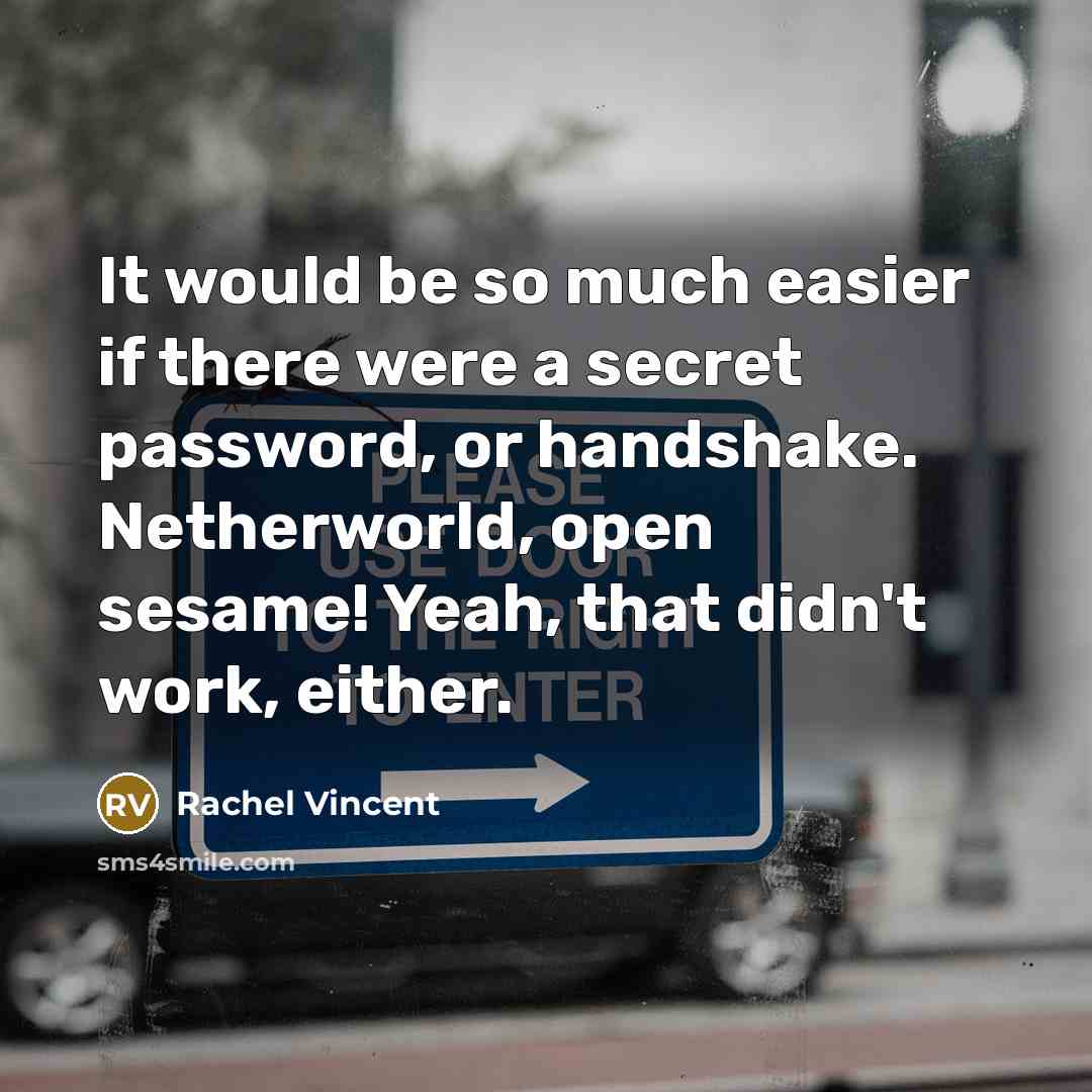 “It would be so much easier if there were a…” quote by Rachel Vincent