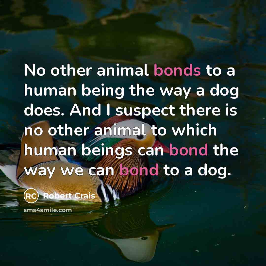 “No other animal bonds to a human being the way…” quote by Robert Crais