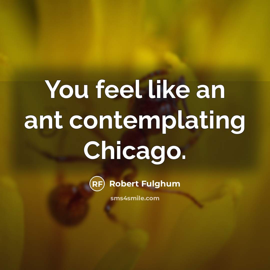 “You feel like an ant contemplating Chicago.…” quote by Robert Fulghum