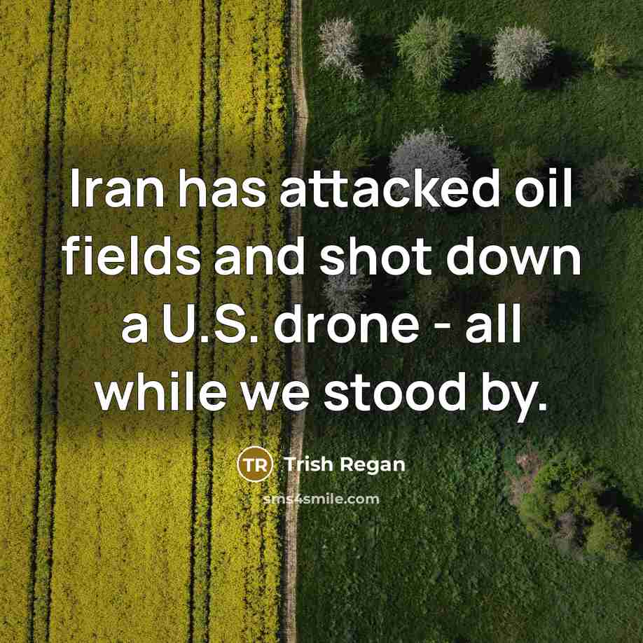“Iran has attacked oil fields and shot down a U.S.…” quote by Trish Regan