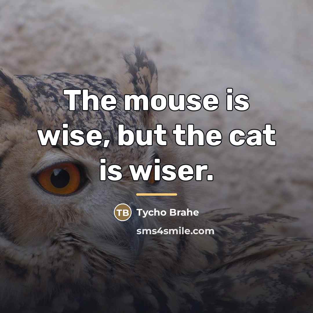 “The mouse is wise, but the cat is wiser.…” quote by Tycho Brahe