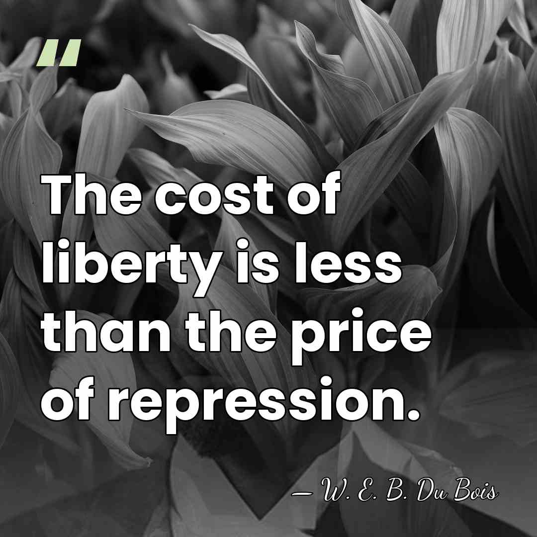 The cost of liberty is less than the price of repression. - W. E. B. Du Bois